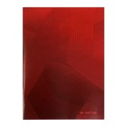 Тетрадь А4, 48 листов в клетку Calligrata "Красная", обложка мелованный картон, блок офсет - фото 22998857