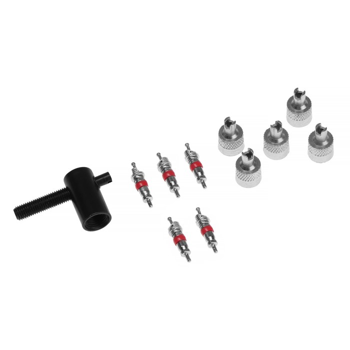 Набор автолюбителя №2, 5 колпачков, металл, 5 золотников коротких, ключ - Фото 1