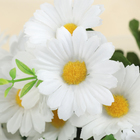 букет 33 см ромашка белая - Фото 2