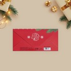 Конверт для денег «Новогодняя посылка», 16,5 х 8 см - Фото 2