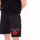 Костюм мужской (футболка/шорты), цвет чёрный/принт МИКС, размер 2XL - Фото 4