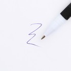 Ручка пластик с колпачком шариковая, «Герб», синяя паста, 0.7 мм - Фото 3