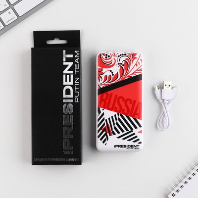 Зарядное устройство «Russia», 8000мА, модель PB-17, 14.5×6.9 см