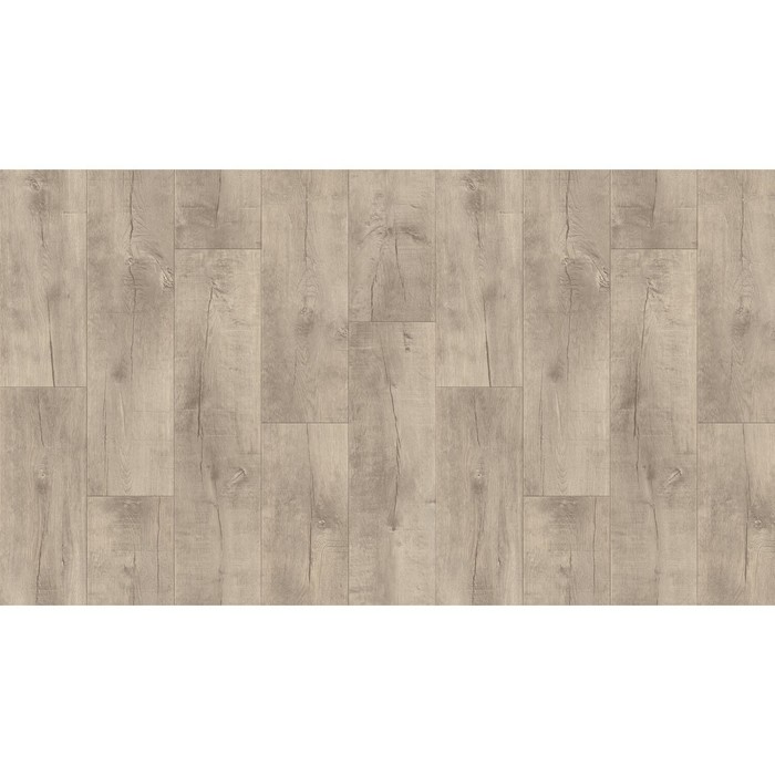 Линолеум бытовой Tarkett Gladiator Saratoga 1, ширина 2.5 м, толщина 4.5 мм, 20 пог. м - Фото 1