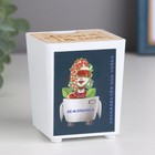 Набор для выращивания P&P "Земляника" - Фото 2