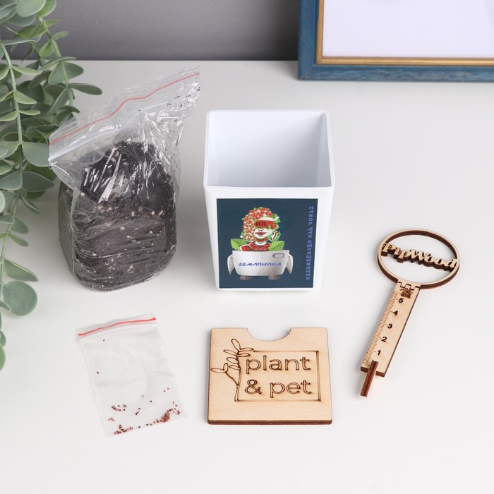 Набор для выращивания P&P "Земляника" - Фото 1