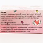 Бальзам для губ «Вишня», 10 г - Фото 5