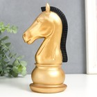 Сувенир полистоун "Шахматная фигура. Конь" золотой с чёрной гривой 19,5х10х8 см - фото 320664653