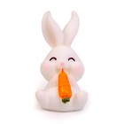 Миниатюра кукольная «Заюша с морковкой», размер: 2,3 × 3 × 3,9 см - Фото 2