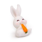 Миниатюра кукольная «Заюша с морковкой», размер: 2,3 × 3 × 3,9 см - Фото 3