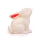 Миниатюра кукольная «Милый зайчик», размер: 1,7 × 2,7 × 3 см - Фото 4