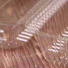 Контейнер одноразовый с неразъёмной крышкой ПР-К-27 «А», пластик, 24×12.9×8.9 см, внутр. 21.3×9.9×7.8 см, прозрачный - Фото 8