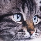 Подушка декоративная, размер 35х35 см, габардин, холлофайбер, полиэстер100% - Фото 3