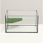 Террариум с покровным стеклом и мостиком 25 литров, 40 х 29 х 22 см - Фото 2