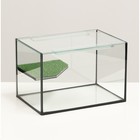 Террариум с покровным стеклом и мостиком 12 литров, 30 х 20 х 20 см - фото 290837516