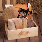 Набор подарочный «Этель» Tiger, полотенце 70×146 см, щётка, мочалка - Фото 1