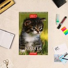 Календарь на пружине "Котята" 2023 год, 17х25 см - Фото 1