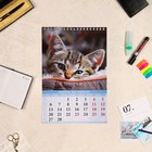Календарь на пружине "Котята" 2023 год, 17х25 см - Фото 2