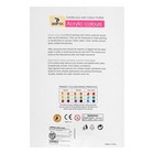 УЦЕНКА Краски акриловые, 12 цветов в пластиковой тубе, 12 мл, в картонной коробке, 4 кисти, палитра - Фото 2