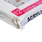 УЦЕНКА Краски акриловые, 12 цветов в пластиковой тубе, 12 мл, в картонной коробке, 4 кисти, палитра - Фото 6