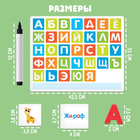 Развивающий набор «Алфавит», пиши-стирай, плакат, карточки, пластиковые буквы - фото 3586625
