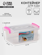 Контейнер пищевой, 4.5 л, с ручками, 30×19×13 см, пластик, прямоугольный, прозрачный, ручки МИКС - Фото 1