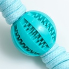 Игрушка канатная, плетёная с мячом, до 35 см, до 115 г, цвет мятный 7883163