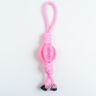 Игрушка канатная плетёная с мячом, до 35 см, до 115 г, розовая 7883164 - фото 16326067