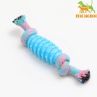 Игрушка жевательная «Элемент», 17×3.2 см, голубая, розовая - Фото 1