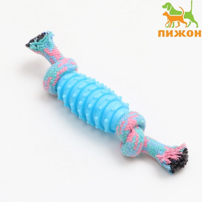 Игрушка жевательная «Элемент», 17×3.2 см, голубая, розовая - Фото 1
