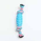 Игрушка жевательная "Элемент", 17 х 3,2 см, голубая/розовая - Фото 2