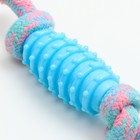 Игрушка жевательная «Элемент», 17×3.2 см, голубая, розовая - Фото 5