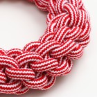 Игрушка канатная "Кольцо", 250 г, до 20 см, красная/белая - фото 23471068