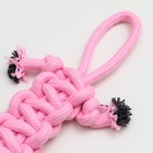 Игрушка канатная "Лапта", до 32 см, 90 г, розовая 7883176 - фото 16538155