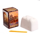 Раскопайка «Древние монеты» - Фото 2