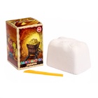 Раскопайка «Золото» - Фото 2