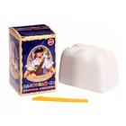 Раскопайка «Сокровища пиратов» - Фото 2