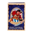 Раскопайка «Сокровища пиратов» - Фото 4