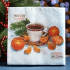 Салфетки бумажные Fresco «С новым годом. Мандарины», 2 слоя, 33×33 см, 20 шт. - Фото 4