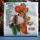 Салфетки бумажные Fresco «С новым годом. Мандарины», 2 слоя, 33×33 см, 20 шт. - Фото 5