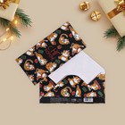 Конверт для денег «С НГ, короче» кот, 16,5 х 8 см - Фото 1