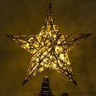 Светодиодная верхушка на ёлку «Звезда золотистая» 25 см, 20 LED, батарейки CR2032х2, свечение тёплое белое - фото 4192736