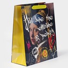 Пакет подарочный ламинированный вертикальный, упаковка, «Граффити», М 26 х 32 х 12 см - Фото 2