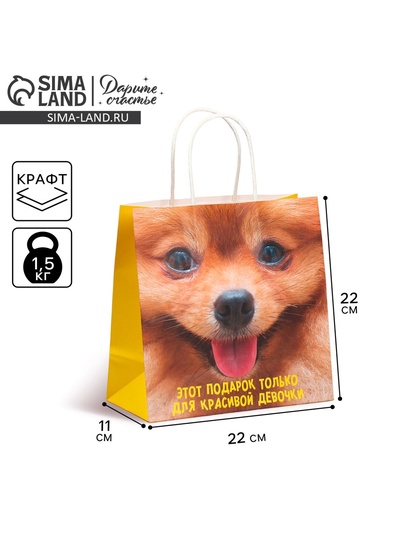 Пакет подарочный, упаковка, «Подарочек», 22×22×11 см