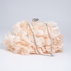 Сумка-клатч на фермуаре, цвет бежевый - фото 21730431