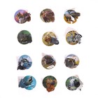 Игровое кольцо «Мир животных» 3,5 × 4,5 × 2,5см, 12 видов, МИКС - Фото 15
