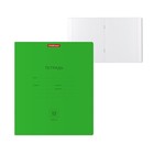 Тетрадь 12 листов в клетку ErichKrause Neon "Классика", обложка мелованный картон, блок офсет белизной 100%, зеленая - фото 319894726