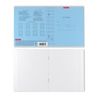 Тетрадь 24 листа в клетку ErichKrause Visio "Классика", обложка мелованный картон, блок офсет белизной 100%, МИКС - фото 21730760