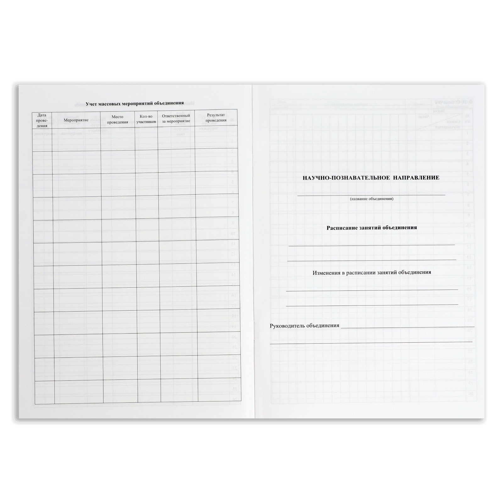Журнал учета внеурочной деятельности в образовательной организации - купить по ц