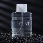 Туалетная вода мужская ECLAT pour Homme, 100 мл - фото 24517700
